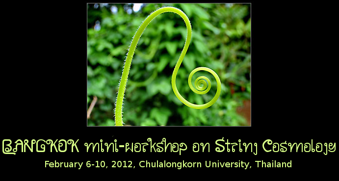 BANGKOK mini-workshop on String Cosmology